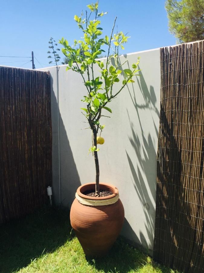Los Tilos Alcossebre 외부 사진